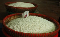 Bộ NN&PTNT đề xuất tiếp tục cho phép xuất khẩu gạo nếp