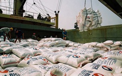 Đề nghị điều tra nhóm lợi ích trục lợi chính sách xuất khẩu gạo