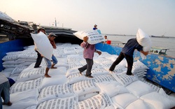 Bộ Công Thương lý giải việc “không tiếp thu ý kiến” Bộ Tài chính về xuất nhập khẩu gạo