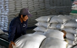 Xuất khẩu gạo đạt kỷ lục nhờ... giá thấp
