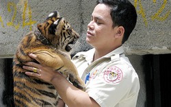 Chuyện những người đánh bạn với... mãnh thú