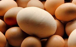 Trứng nhập khẩu ngoài hạn ngạch  chịu thuế 80%