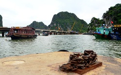 Quảng Ninh:  Xây cầu “bức tử” 3 cảng tàu