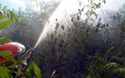 Khánh Hòa: Cháy rụi hàng chục ha rừng tái sinh