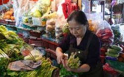 Người phụ nữ bán rau nhận “Nobel châu Á”