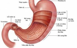 Dấu hiệu chảy máu đường tiêu hóa trên