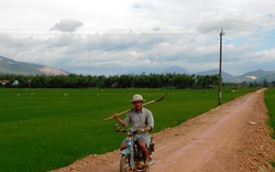 An Nhơn &#40;Bình Định&#41;: Nông dân hăng hái hiến đất