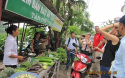 Thương hiệu rau an toàn Tân Đức