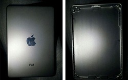Lộ diện hình ảnh mặt trước và sau của iPad Mini