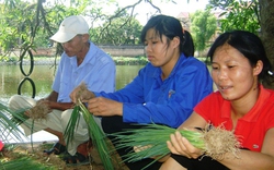 Đòn bẩy từ chuyên canh rau màu