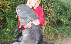 Giật mình câu được cá nặng 54kg, dài hơn 2m