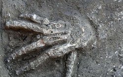Phát hiện 16 bàn tay gần 3.600 tuổi