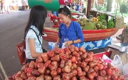 “Loạn” mùa vụ, trái cây dội chợ