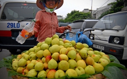 Rau quả Trung Quốc bán giá... “trời ơi”