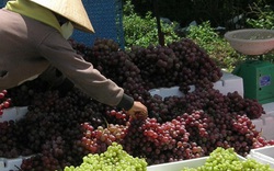 Siết chặt nhập khẩu  nông sản Trung Quốc