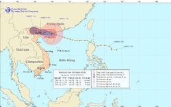 Sau đổ bộ, bão số 5 suy yếu thành áp thấp