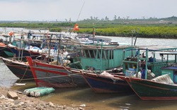 Quảng Ninh sẵn sàng đối phó với bão số 5