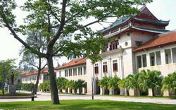 Đại học Trung Quốc tổ chức khóa học… leo cây