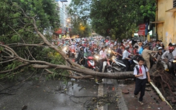 Bão chưa vào, Hà Nội đã có người chết