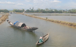 Cướp trắng trợn tôm cá của dân hàng đêm