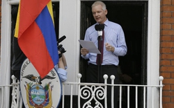 Từ Đại sứ quán Ecuador, “trùm” WikiLeaks lên tiếng
