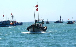 Bình Thuận: Ngư dân liên kết bám biển