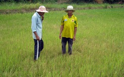 Phú Yên: Xây kè gây khô hạn