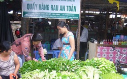 Rau an toàn VietGAP còn phụ thuộc thương lái