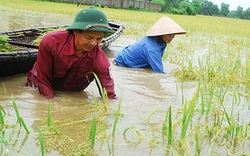 Cùng hành động chống đói nghèo