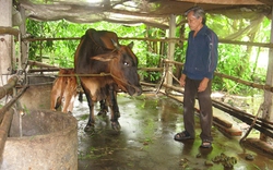 Giúp người nghèo  có “nồi cơm Thạch Sanh”