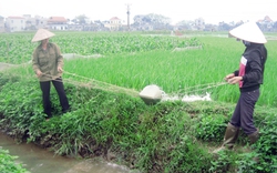 Sơn Tây: Phát triển kinh tế gắn với bảo tồn văn hóa