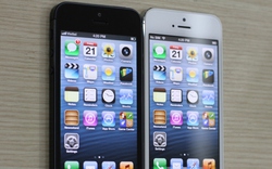 iPhone 5 có thể tương thích với sim Việt Nam