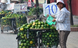 Cam Trung Quốc &#34;đội lốt&#34; cam ngọt Hà Giang, tràn lan phố Hà Nội