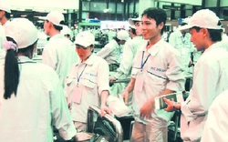 Hàn Quốc ngừng tuyển mới lao động Việt Nam năm 2012
