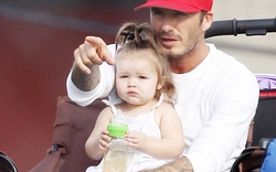 Harper Beckham ngộ nghĩnh, lẫm chẫm bước đi