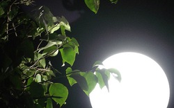 Đêm Trung thu: Miền Bắc không mưa và có trăng
