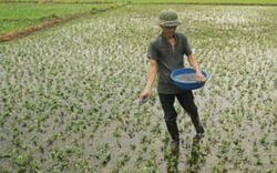 Cơ hội “vàng” cho Luật Đất đai: Tách nhóm lợi ích ra khỏi đất đai