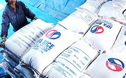 Thái Lan giảm giá thu mua tạm trữ gạo: Việt Nam không ảnh hưởng