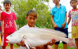 Giăng lưới dính cá sửu “khủng” hơn 6kg