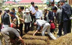 Không hiệu quả sẽ không mở lớp