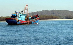 Nghệ An: Giúp ngư dân khai thác vùng khơi