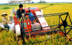 Ninh Bình đạt kết quả cao trong phát triển “tam nông”