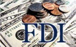 ĐBSCL: Gần 800 dự án FDI được đầu tư vốn