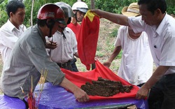 Nhen lên những niềm  hy vọng