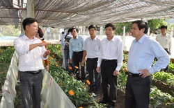Quảng Ninh:  Chọn 3 huyện làm điểm về tam nông