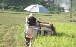 Hà Giang: Hiệu quả từ lồng ghép nhiều chương trình