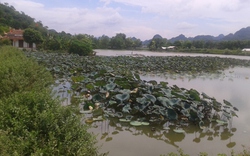 Ao làng, sâu lắng hồn quê