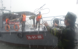 Quảng Ninh: Dừng họp để chống bão số 5