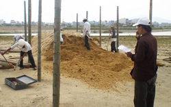 Mượn đất dự án “treo” cho nông dân sản xuất