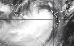 Tâm bão số 5 “tấn công” vùng biển Quảng Ninh